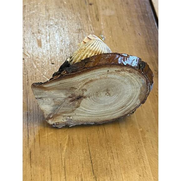 Vintage Novelty Knick-Knack. Bird made out of sea shells on wood. Beach Nautical - Picture 7 of 9